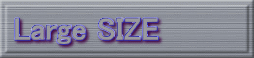 Large SIZE
